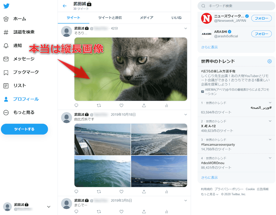 Twitter のタイムライン上で 単一の縦長画像がトリミングされずに表示されるようにする Chrome 拡張機能 Firefox アドオン Twitter Large Thumbnails Giga 無料通信