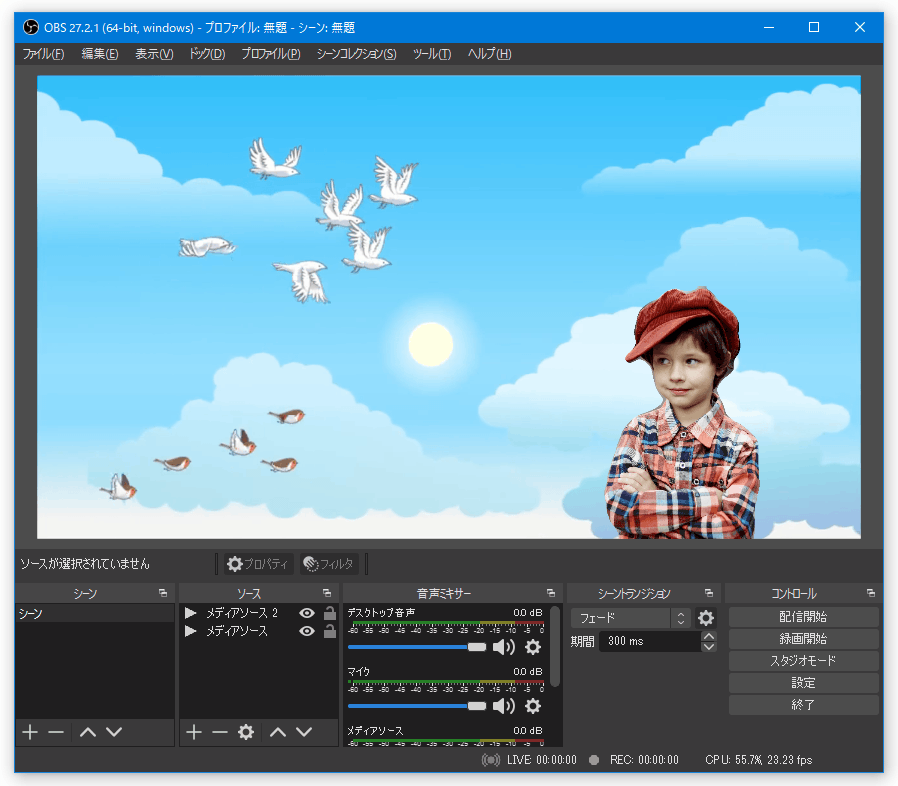 OBS Plugin: Background Removal