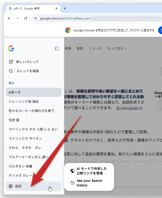 サイドバーの下部にある「設定」を選択 →「See your Search history」をクリックする